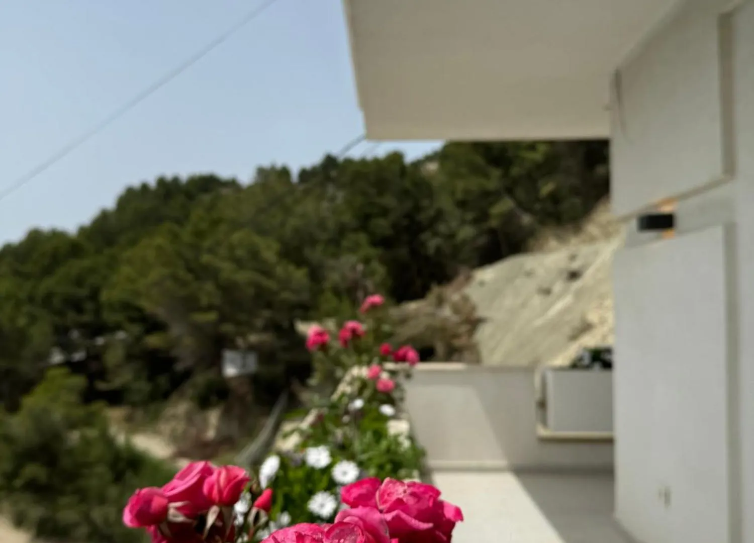 Villa D Hotel-Restaurant-Private Beach Durres 4*,  Albania